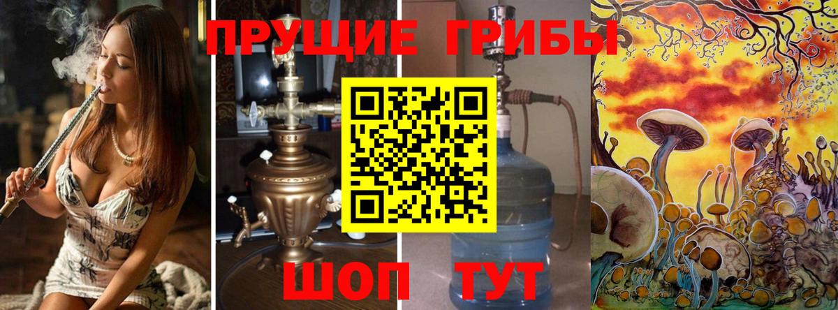 Железноводск  Псилоцибиновые грибы Cubensis  Вход с VPN  Галлюциногенные грибы MAGIC MUSHROOMS 