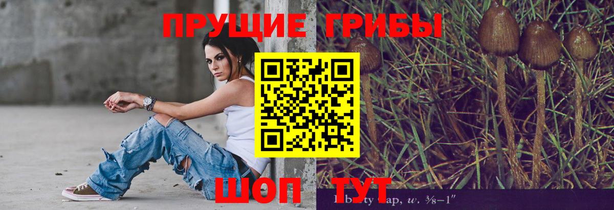 Псилоцибиновые грибы мухоморы Железноводск